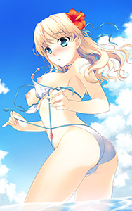 とらのあな様 特典 とらのあな様 特典