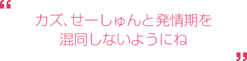 カズ、せーしゅんと発情期を混同しないようにね